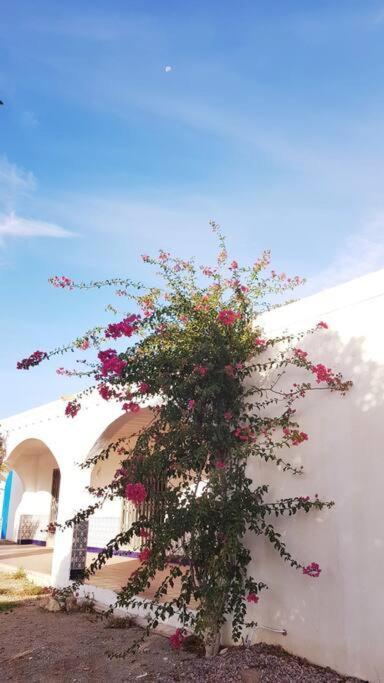 Níjar: Authentic Andalusian Experience Villa Exterior photo